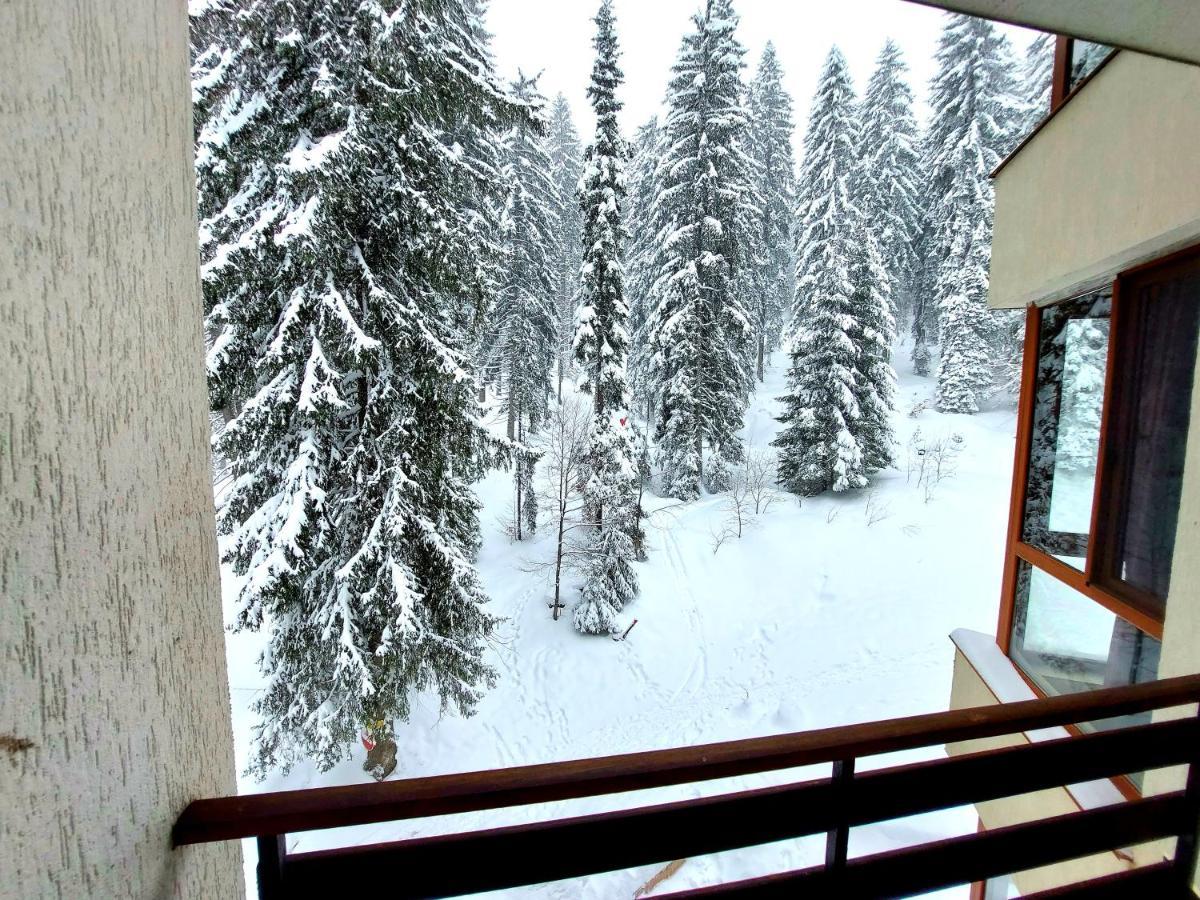 Ski & Holiday Apartments In Pamporovo Exterior photo