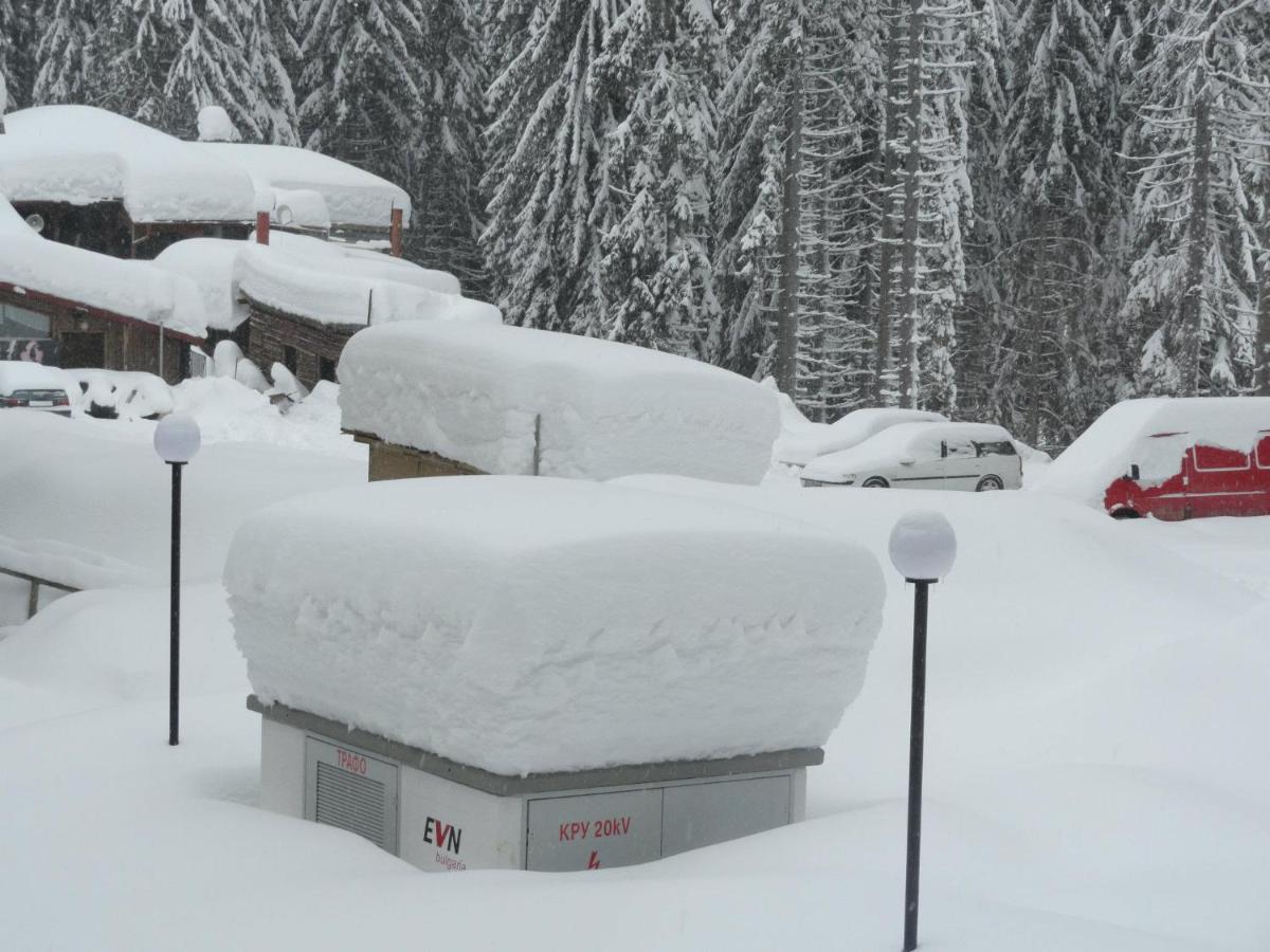 Ski & Holiday Apartments In Pamporovo Exterior photo