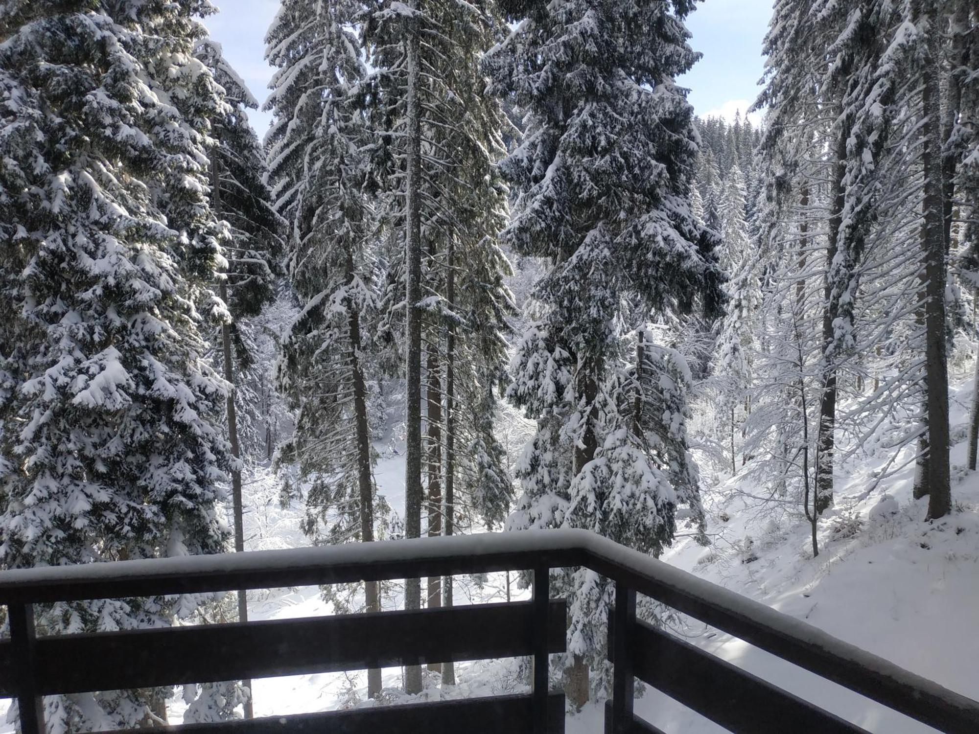 Ski & Holiday Apartments In Pamporovo Exterior photo