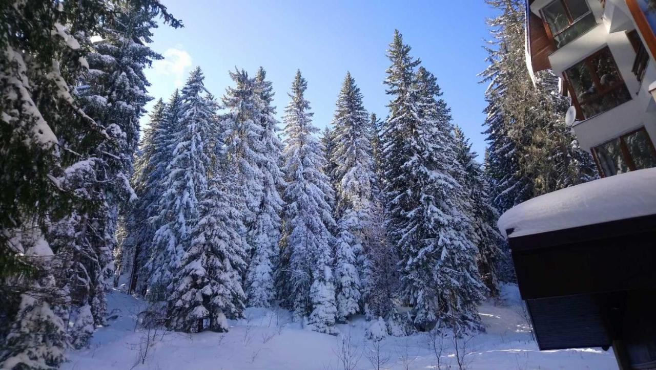 Ski & Holiday Apartments In Pamporovo Exterior photo